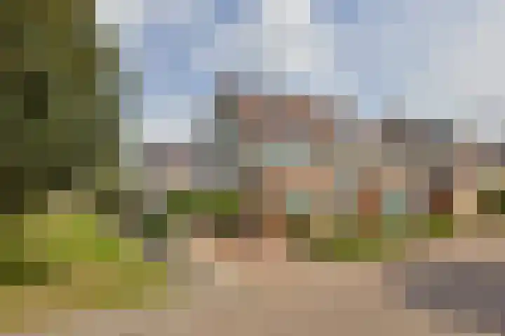 Vrouwenmantel 1 Berkel-Enschot thumbnail 39