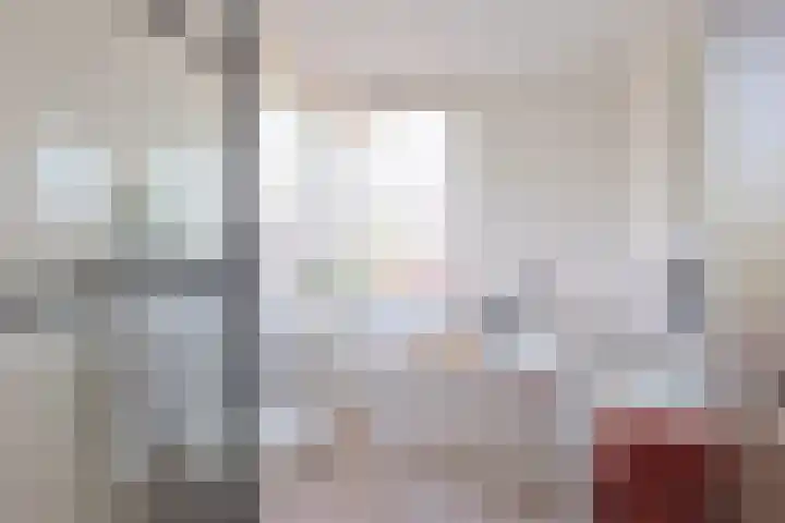Vrouwenmantel 1 Berkel-Enschot thumbnail 4
