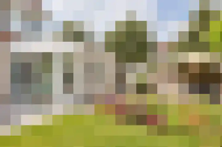 Vrouwenmantel 1 Berkel-Enschot thumbnail 5