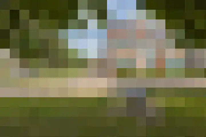 Vrouwenmantel 1 Berkel-Enschot thumbnail 6