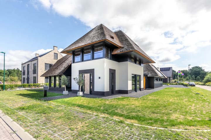 Vrouwenmantel 13 in Voorthuizen Foto