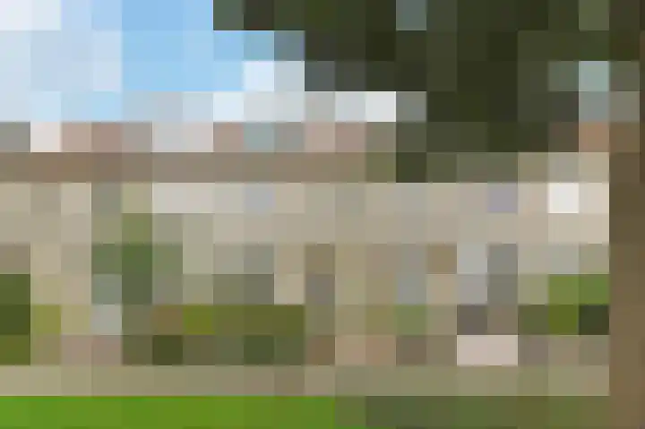 Vrouwenmantel 13 Nootdorp