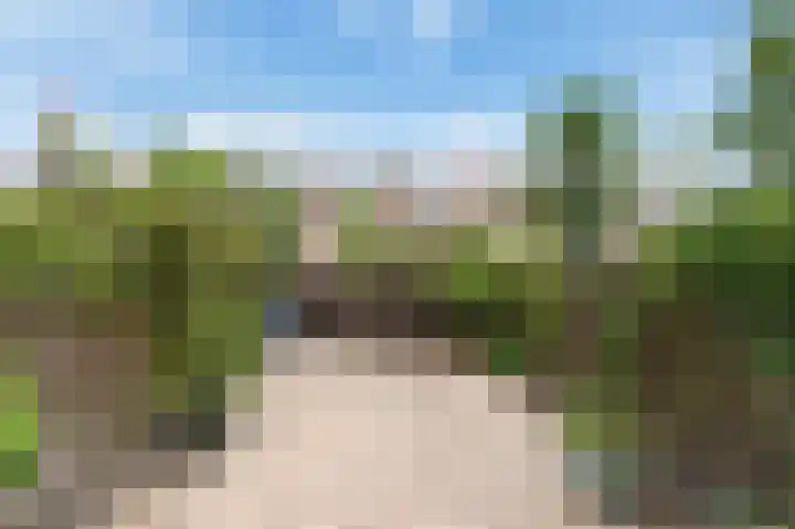 Vrouwenmantel 13 Nootdorp thumbnail 11