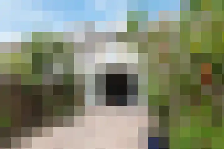 Vrouwenmantel 13 Nootdorp thumbnail 12