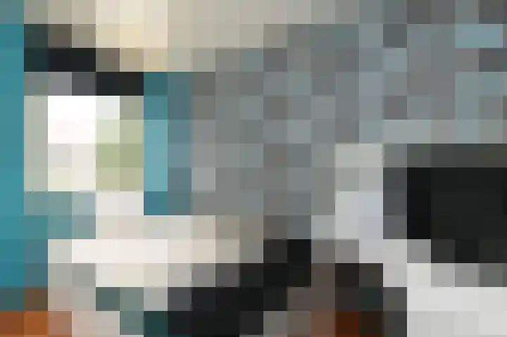 Vrouwenmantel 13 Nootdorp thumbnail 23