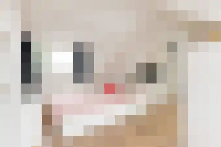 Vrouwenmantel 13 Nootdorp thumbnail 31