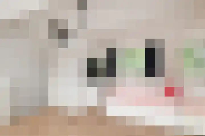 Vrouwenmantel 13 Nootdorp thumbnail 32