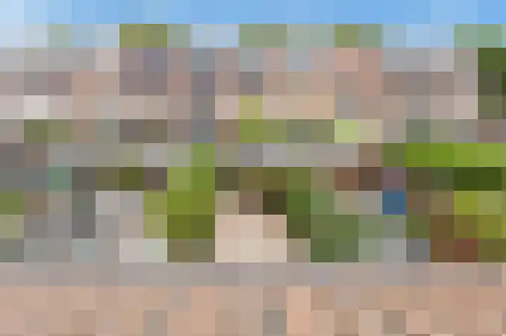 Vrouwenmantel 13 Nootdorp thumbnail 34