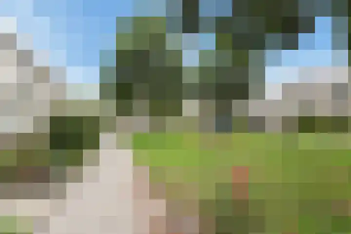 Vrouwenmantel 13 Nootdorp thumbnail 36
