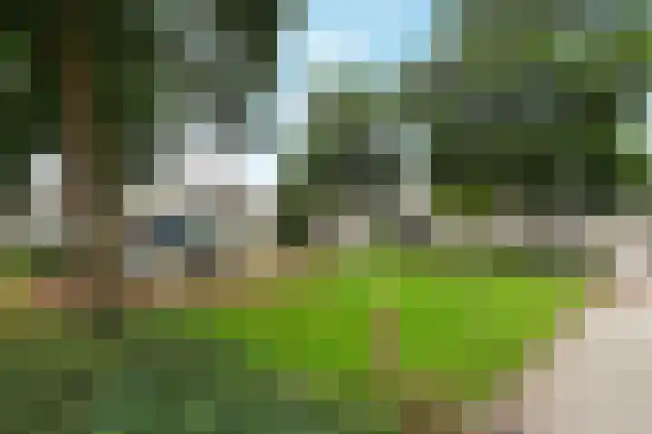 Vrouwenmantel 13 Nootdorp thumbnail 37