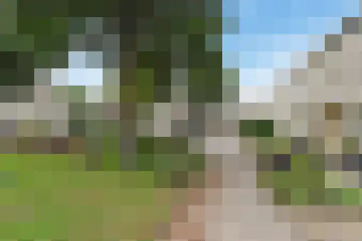 Vrouwenmantel 13 Nootdorp thumbnail 38