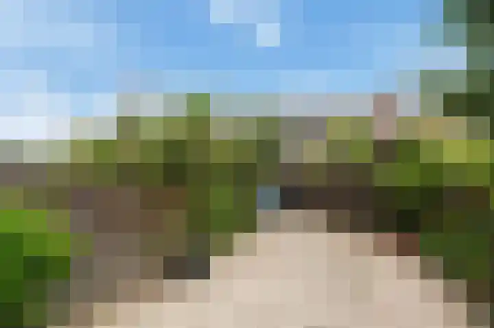 Vrouwenmantel 13 Nootdorp thumbnail 4