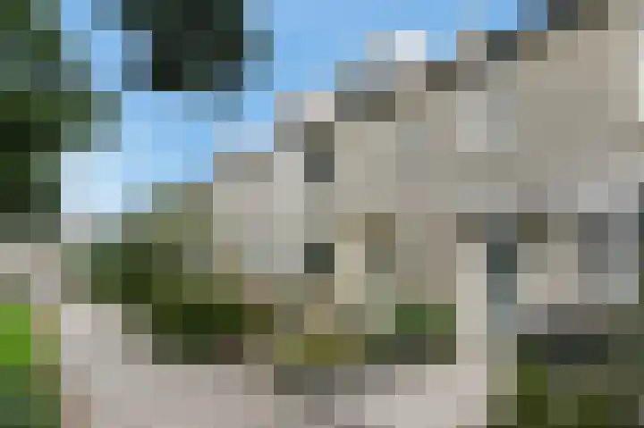 Vrouwenmantel 13 Nootdorp thumbnail 6