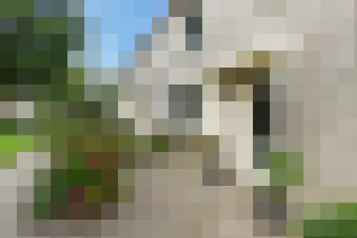 Vrouwenmantel 13 Nootdorp thumbnail 7