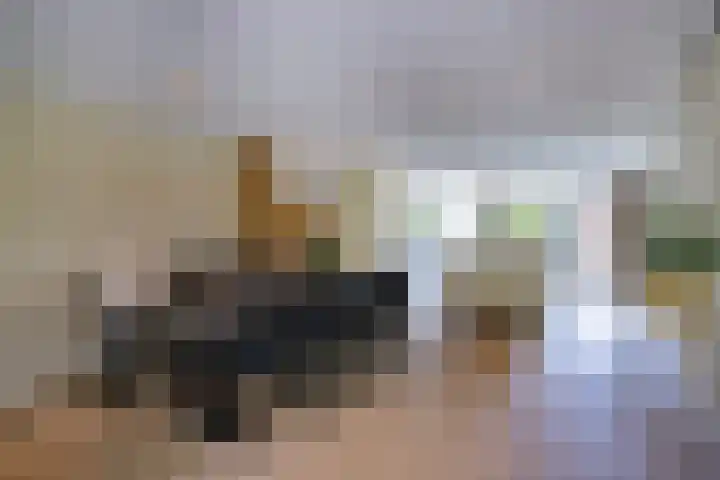 Vrouwenmantel 21 Schoonhoven thumbnail 11