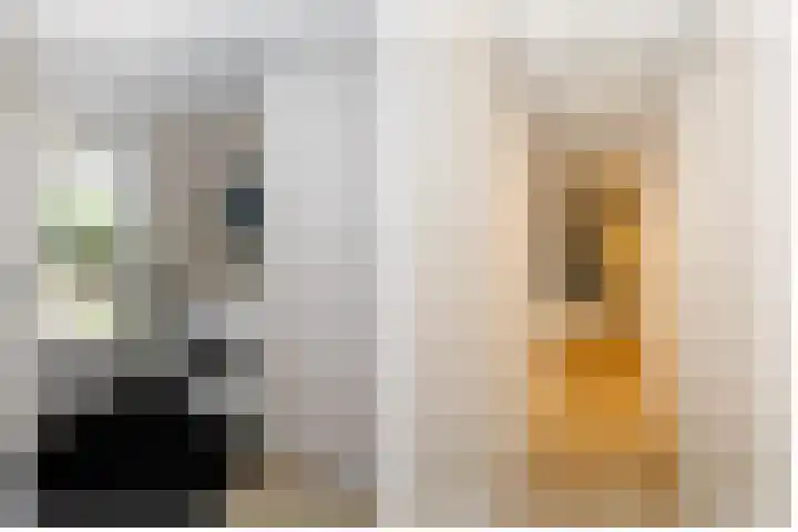 Vrouwenmantel 21 Schoonhoven thumbnail 14