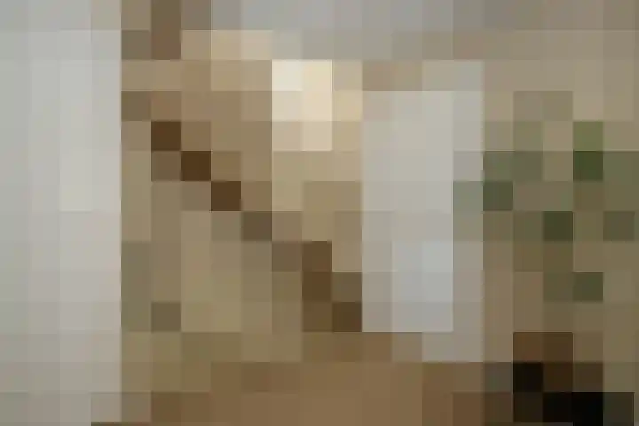 Vrouwenmantel 21 Schoonhoven thumbnail 17