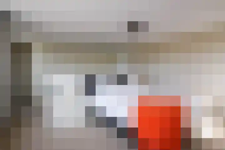 Vrouwenmantel 21 Schoonhoven thumbnail 18
