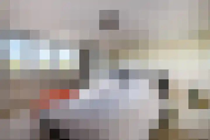 Vrouwenmantel 21 Schoonhoven thumbnail 19