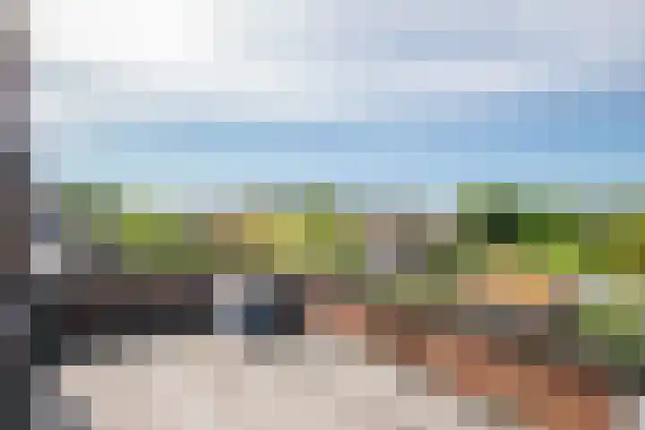 Vrouwenmantel 21 Schoonhoven thumbnail 21