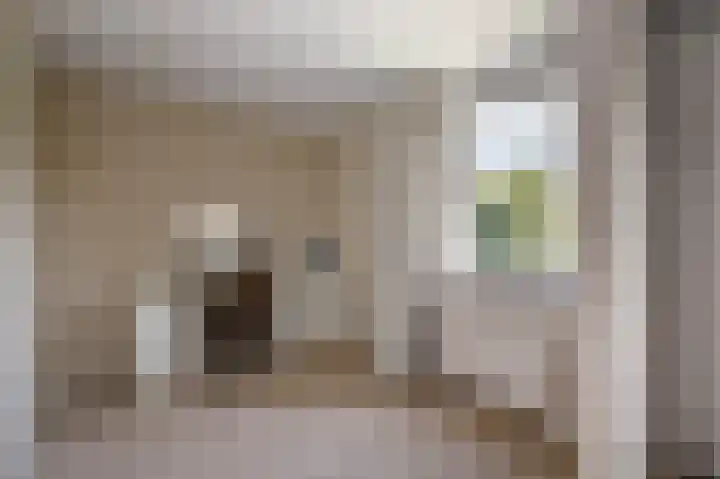 Vrouwenmantel 21 Schoonhoven thumbnail 22