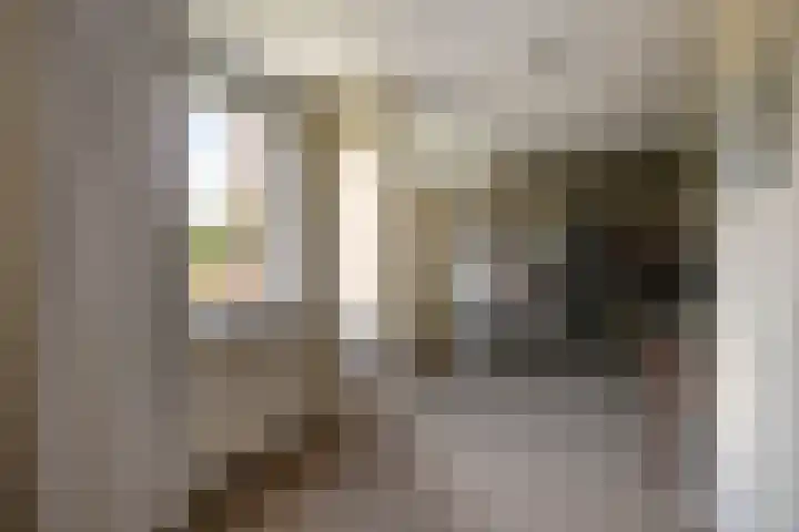 Vrouwenmantel 21 Schoonhoven thumbnail 23