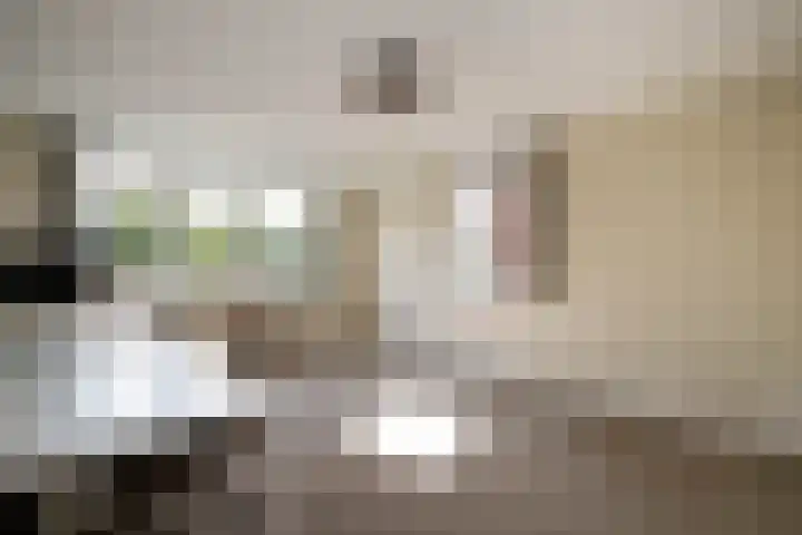Vrouwenmantel 21 Schoonhoven thumbnail 24