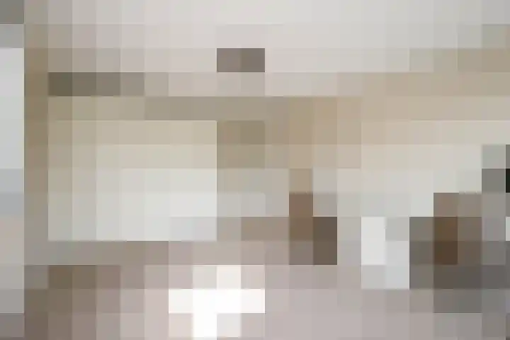 Vrouwenmantel 21 Schoonhoven thumbnail 25