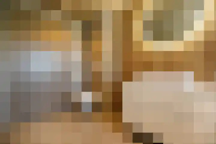 Vrouwenmantel 21 Schoonhoven thumbnail 26