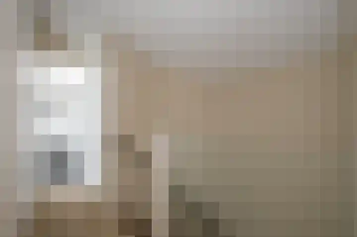 Vrouwenmantel 21 Schoonhoven thumbnail 29