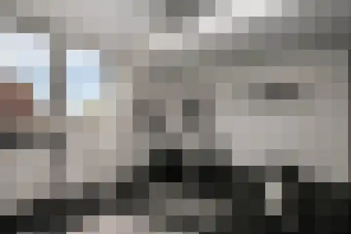 Vrouwenmantel 21 Schoonhoven thumbnail 30