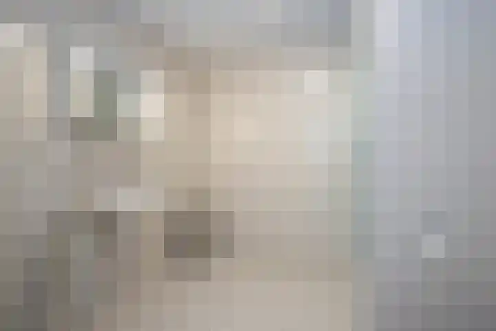 Vrouwenmantel 21 Schoonhoven thumbnail 31
