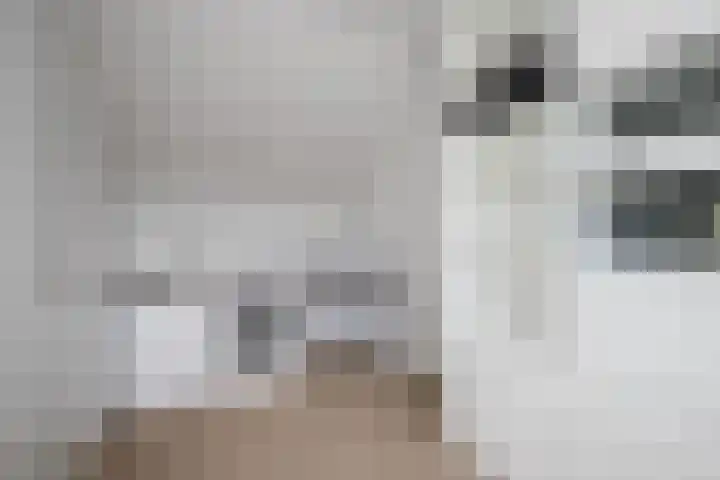 Vrouwenmantel 21 Schoonhoven thumbnail 33