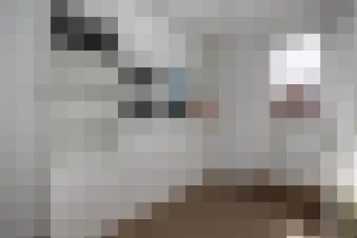 Vrouwenmantel 21 Schoonhoven thumbnail 34