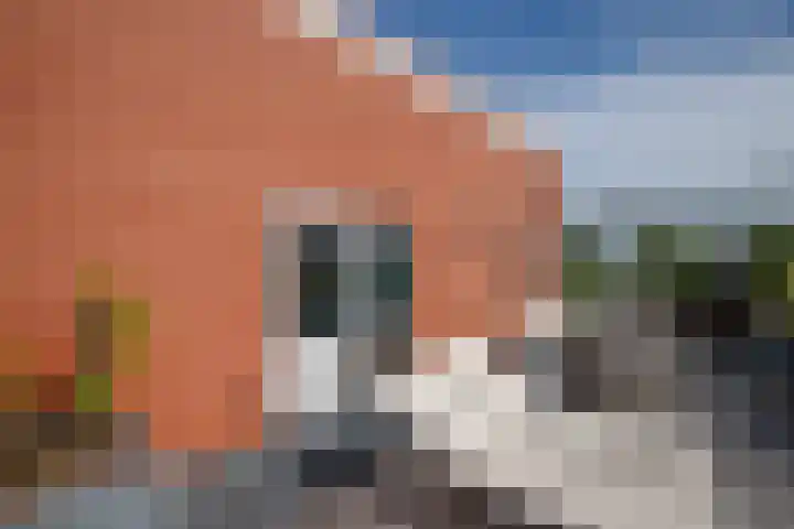 Vrouwenmantel 21 Schoonhoven thumbnail 35