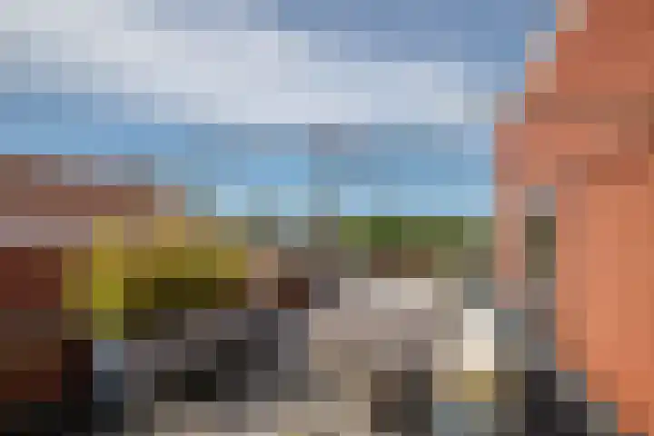 Vrouwenmantel 21 Schoonhoven thumbnail 36