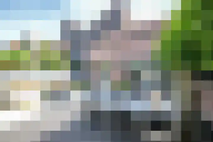 Vrouwenmantel 21 Schoonhoven thumbnail 38