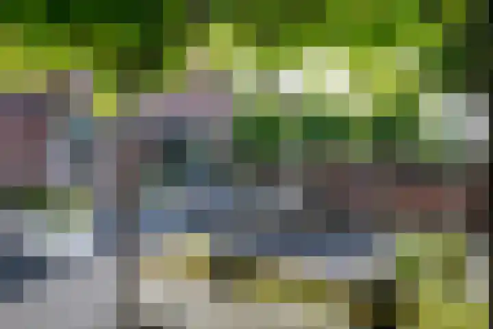 Vrouwenmantel 21 Schoonhoven thumbnail 39