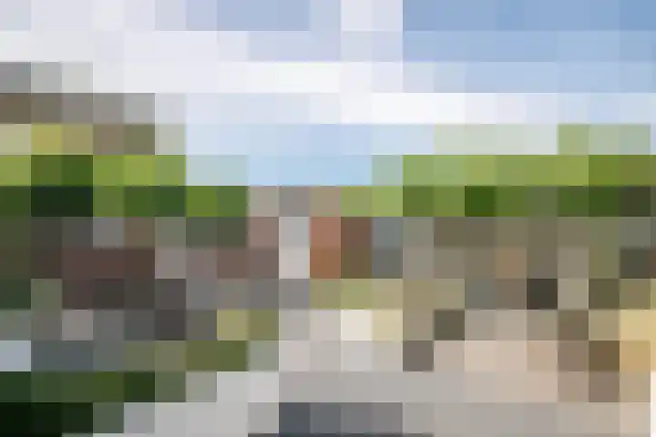 Vrouwenmantel 21 Schoonhoven thumbnail 40