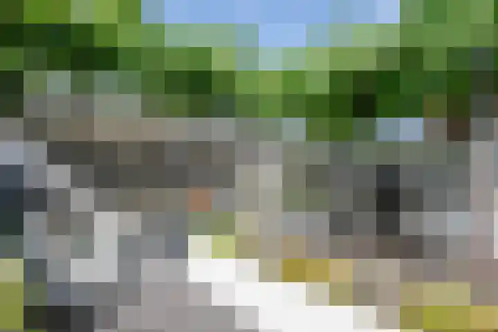 Vrouwenmantel 21 Schoonhoven thumbnail 41