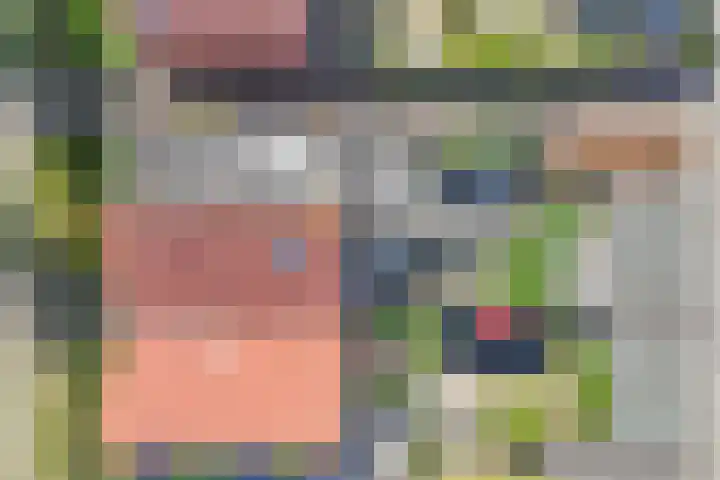 Vrouwenmantel 21 Schoonhoven thumbnail 43