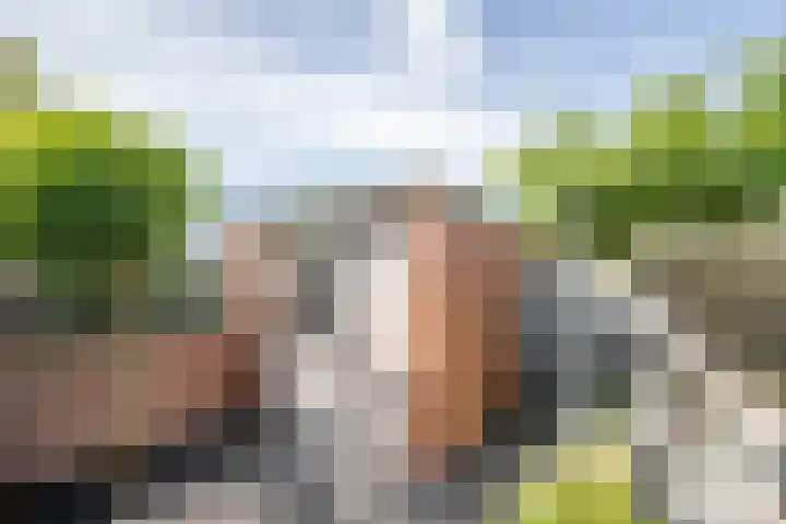 Vrouwenmantel 21 Schoonhoven thumbnail 44