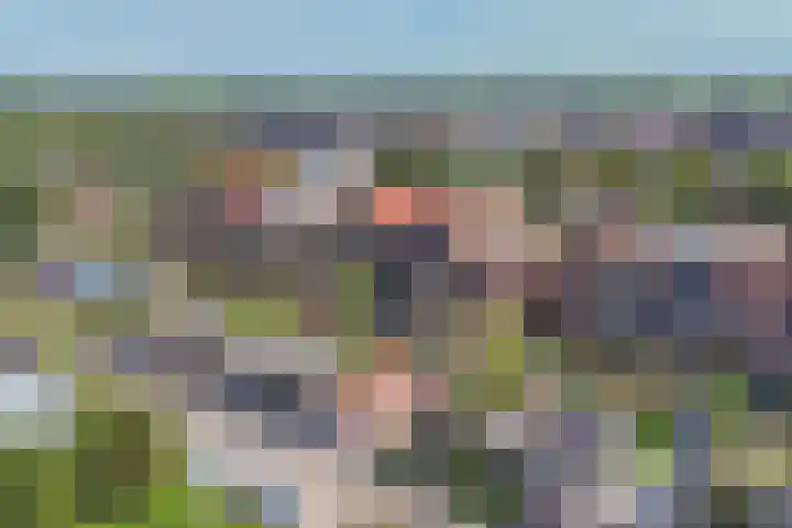 Vrouwenmantel 21 Schoonhoven thumbnail 46