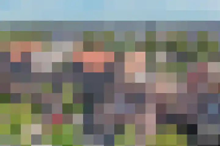 Vrouwenmantel 21 Schoonhoven thumbnail 5
