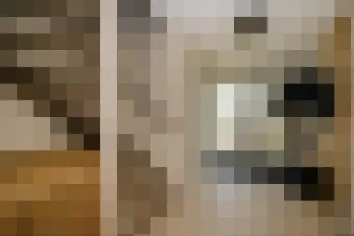 Vrouwenmantel 21 Schoonhoven thumbnail 6