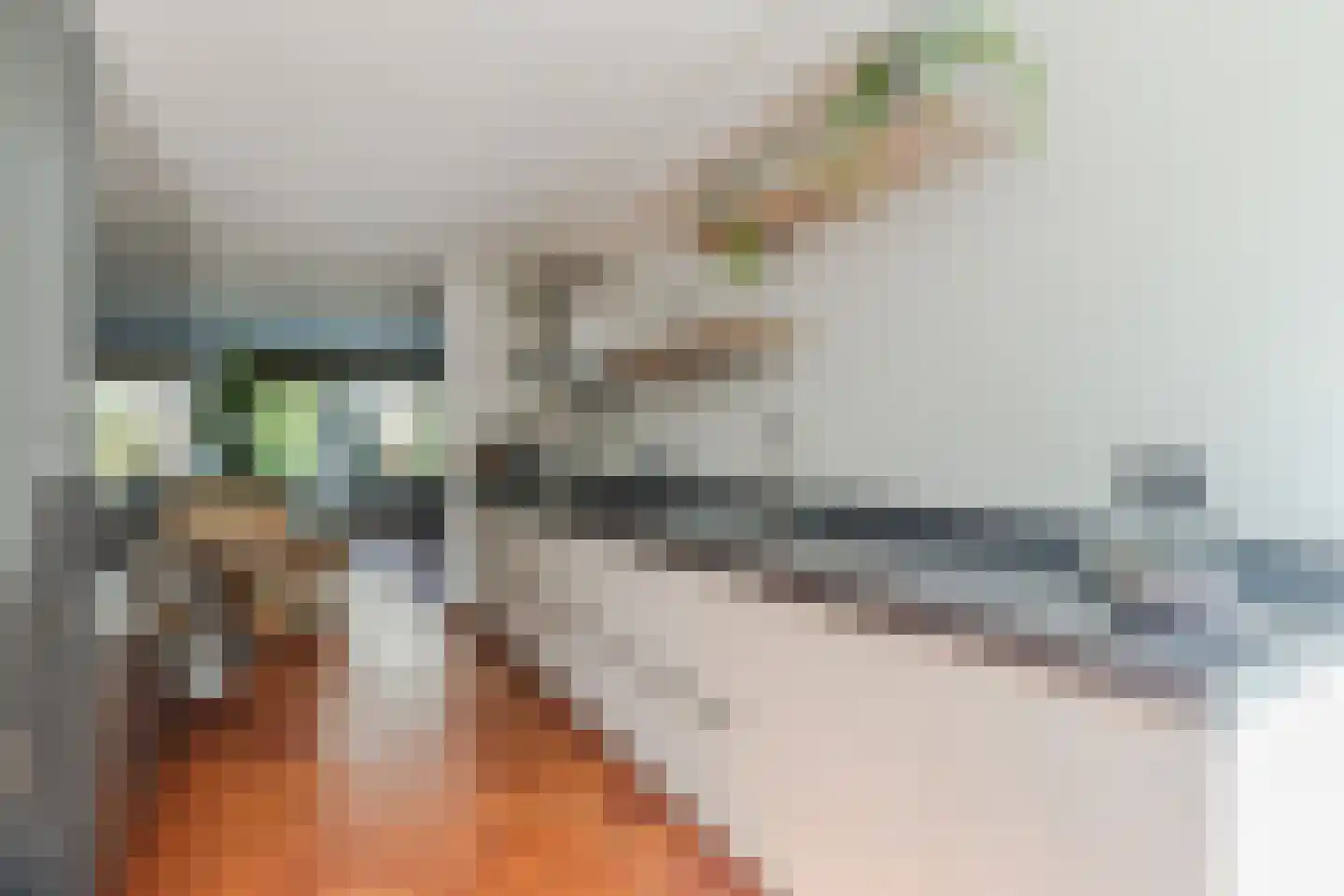 Vrouwenmantel 49 Breukelen thumbnail 14