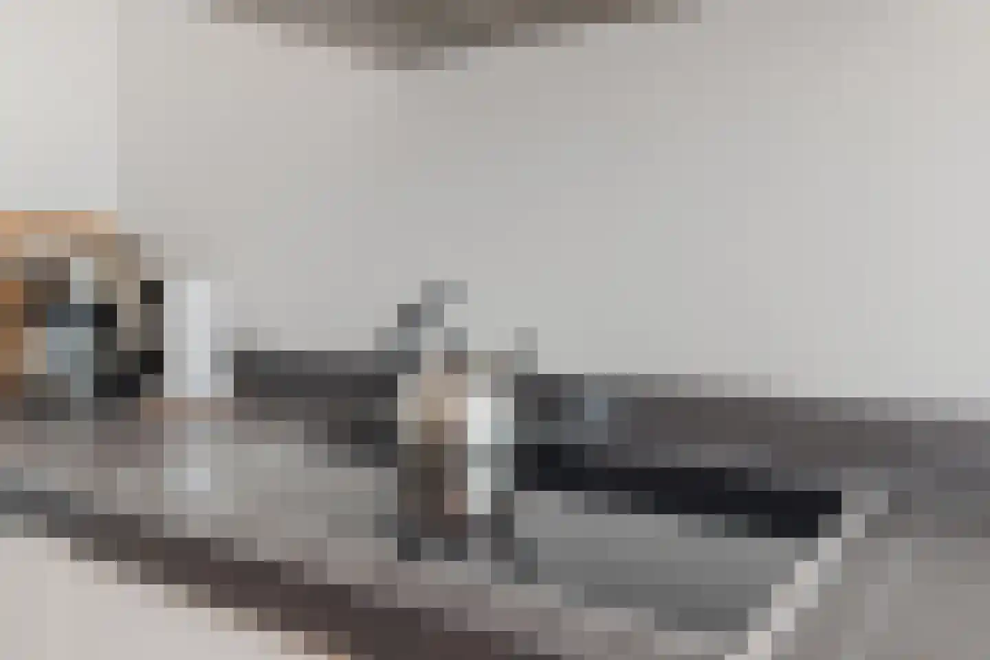 Vrouwenmantel 49 Breukelen thumbnail 16