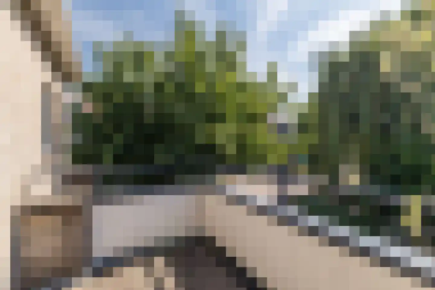 Vrouwenmantel 49 Breukelen thumbnail 25