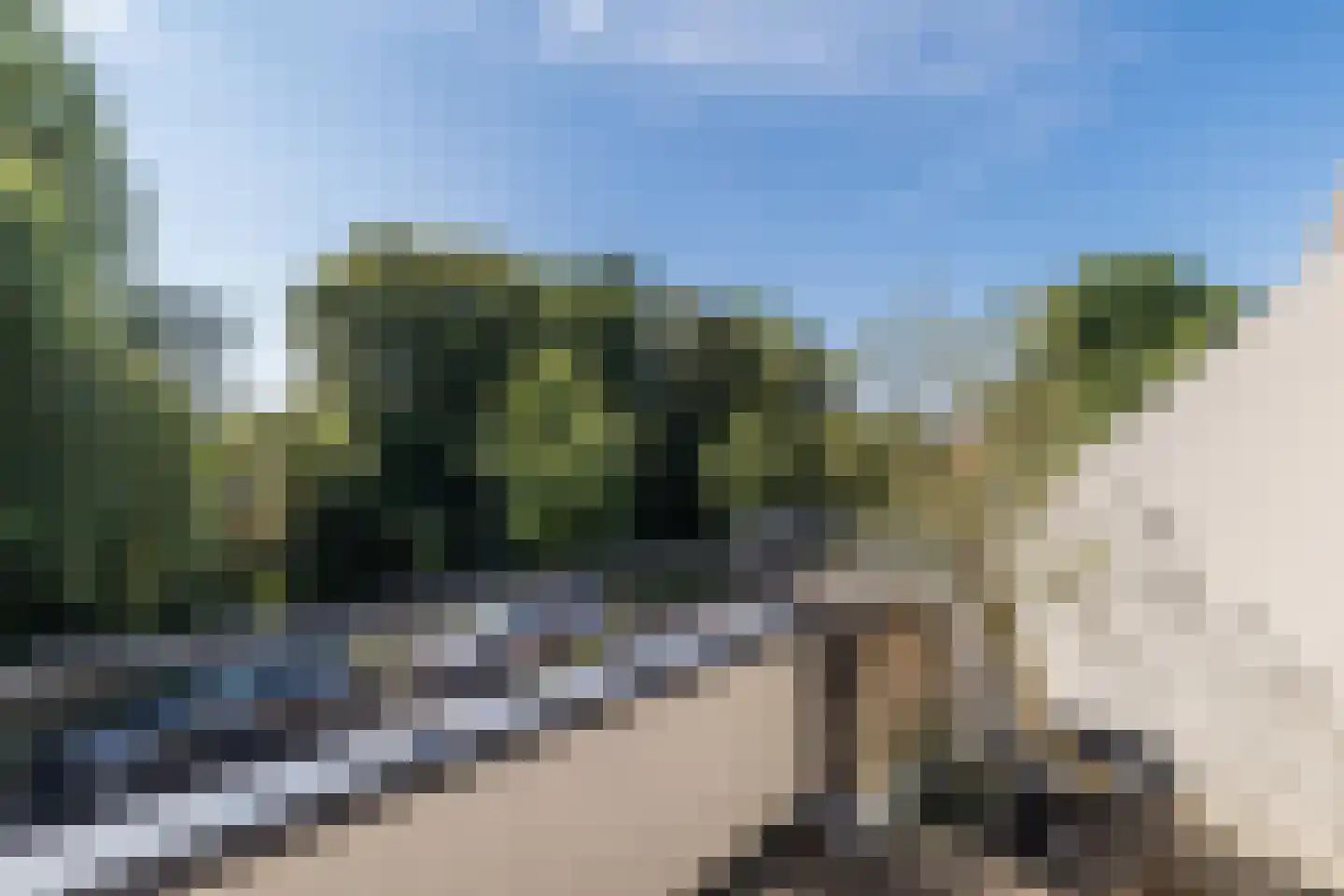 Vrouwenmantel 49 Breukelen thumbnail 26