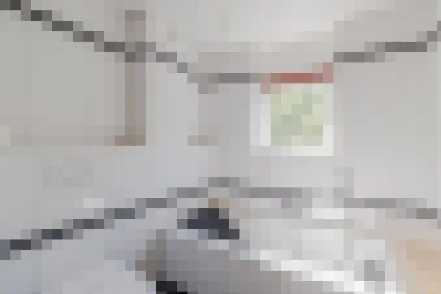 Vrouwenmantel 49 Breukelen thumbnail 28